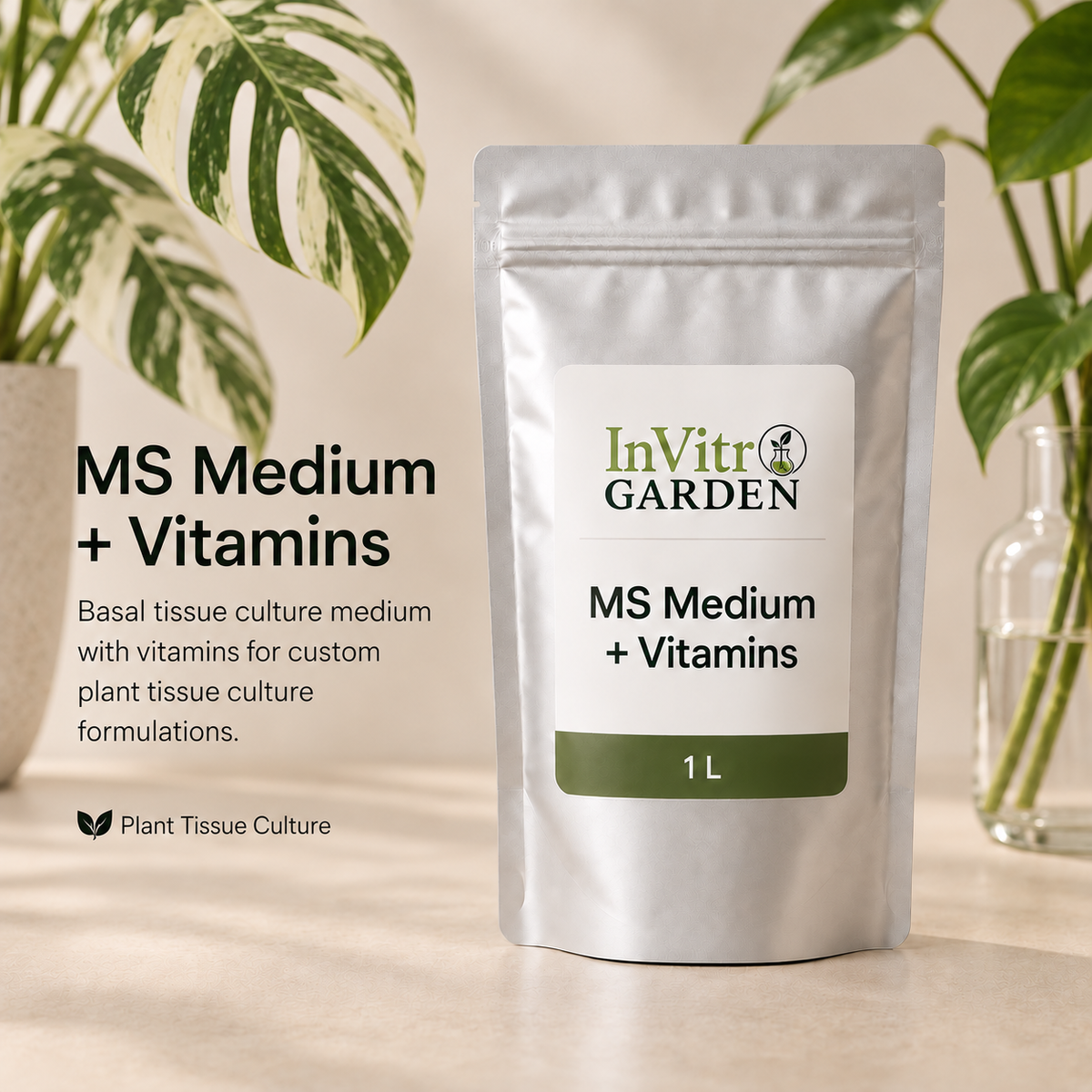 Murashige & Skoog Medium (MS) + Vitamins