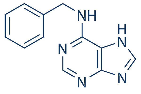 6-Benzylaminopurine (BAP)