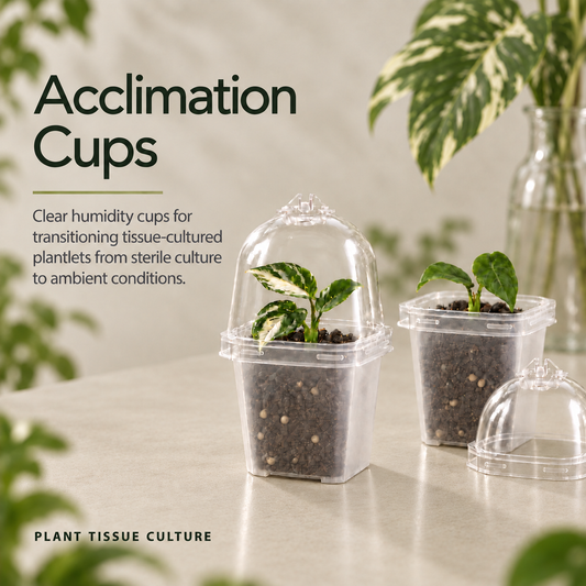 Acclimation Cups