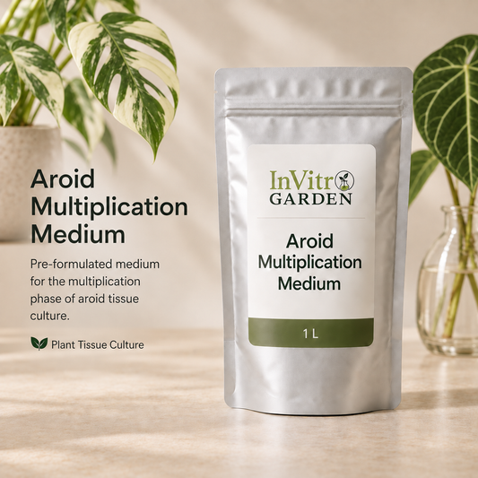 Aroid Multiplication Medium