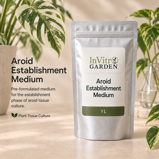 Aroid Establishment Medium