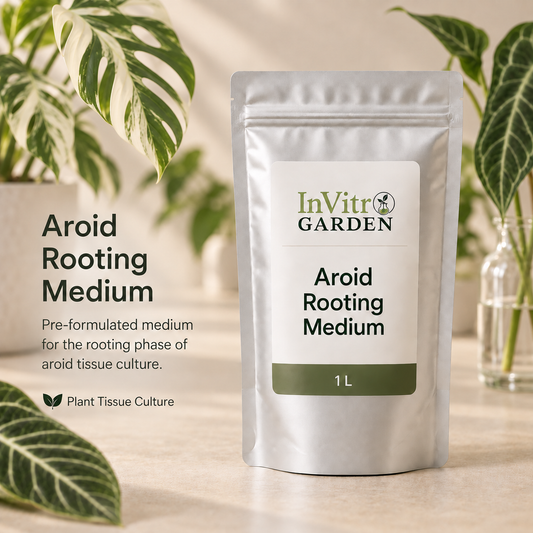 Aroid Rooting Medium