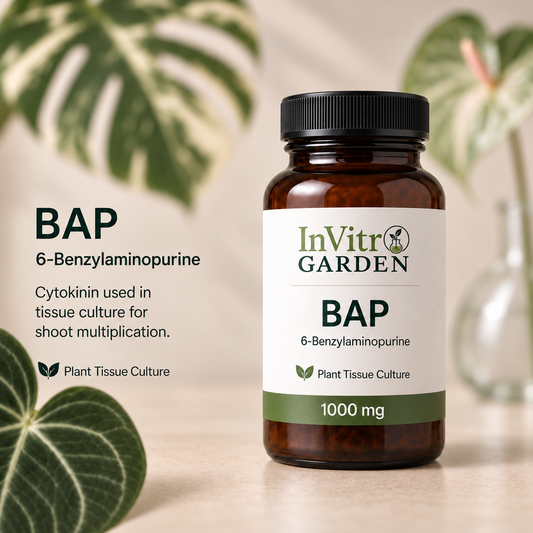 6-Benzylaminopurine (BAP)