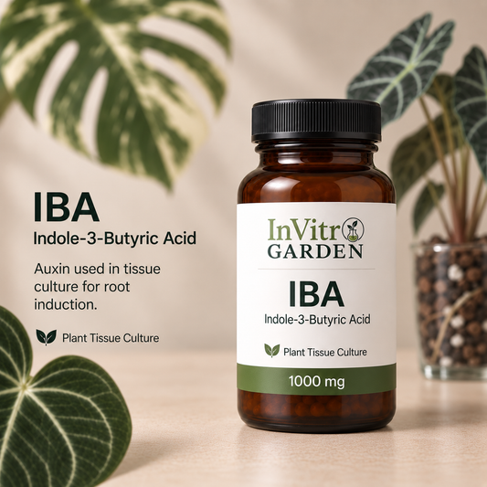 Indole-3-butyric acid (IBA)